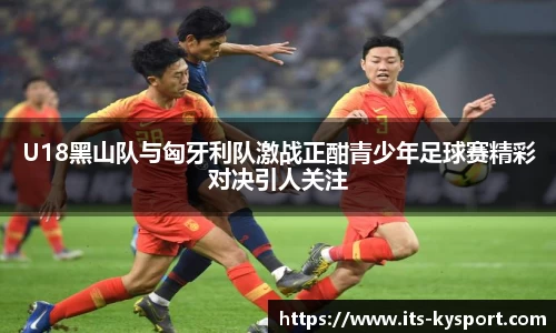 ky体育官网
